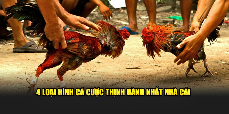 4 loại hình cá cược thịnh hành nhất nhà cái