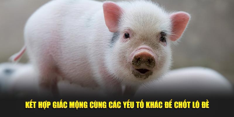 Kết hợp giấc mộng cùng các yếu tố khác để chốt lô đề