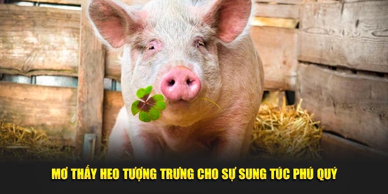 Mơ thấy heo tượng trưng cho sự sung túc phú quý