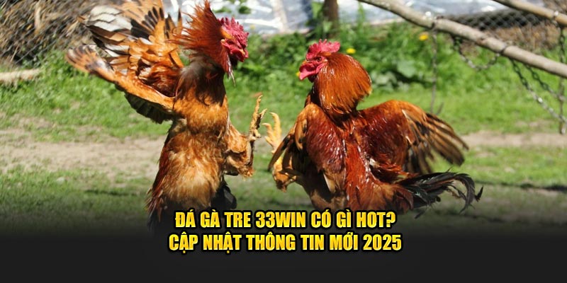 Đá Gà Tre 33WIN - Bí Quyết Chơi Hiệu Quả Không Thể Bỏ