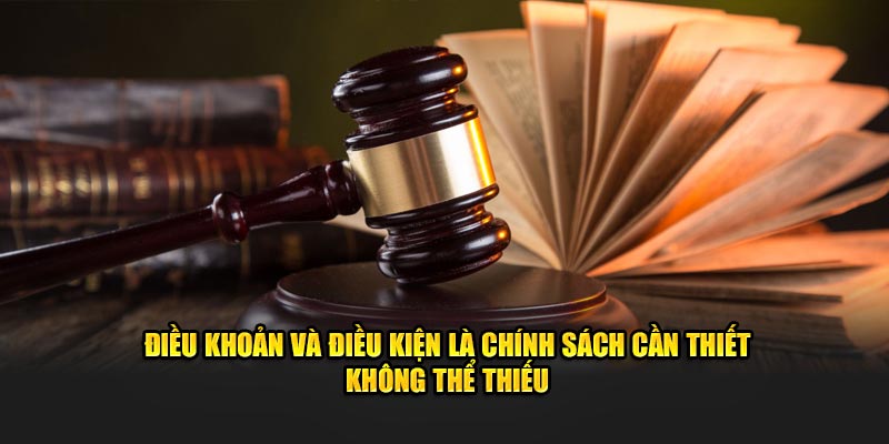 Điều khoản và điều kiện là chính sách cần thiết không thể thiếu