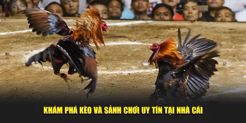 Khám phá kèo và sảnh chơi uy tín tại nhà cái