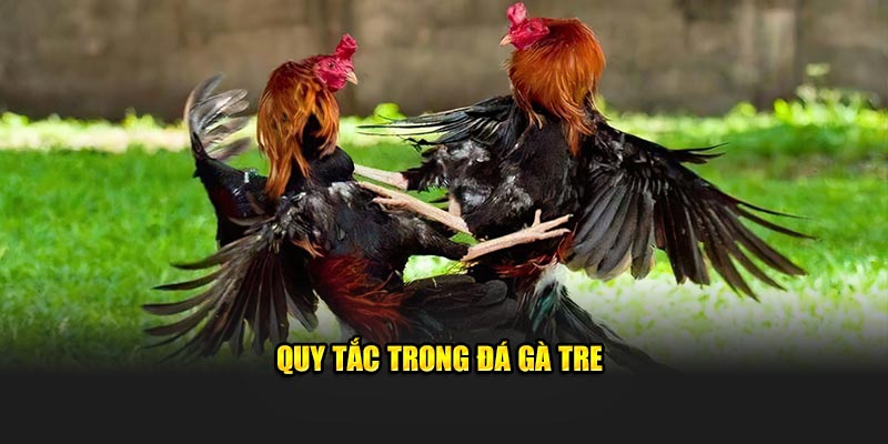 Quy tắc trong đá gà tre