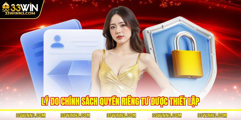 Lý do chính sách quyền riêng tư được thiết lập
